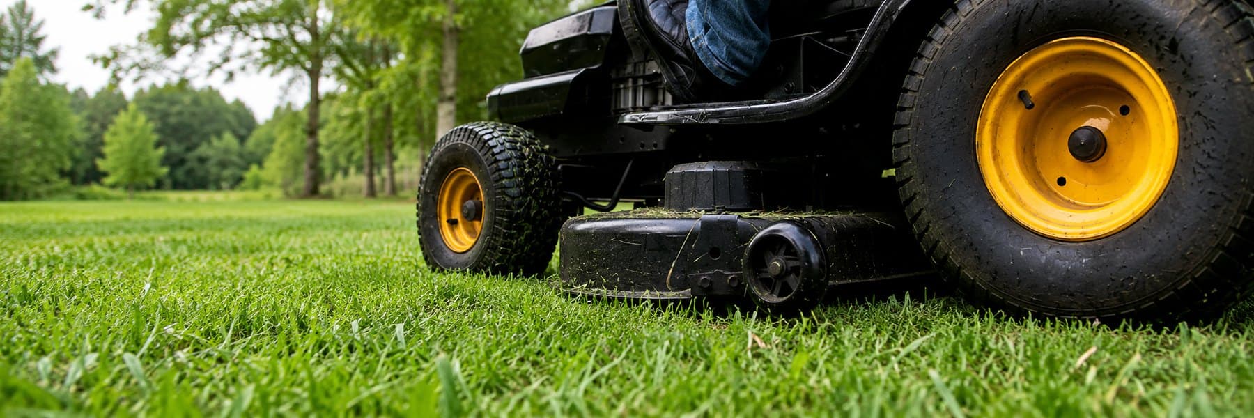 A lush, freshly cut Florida lawn